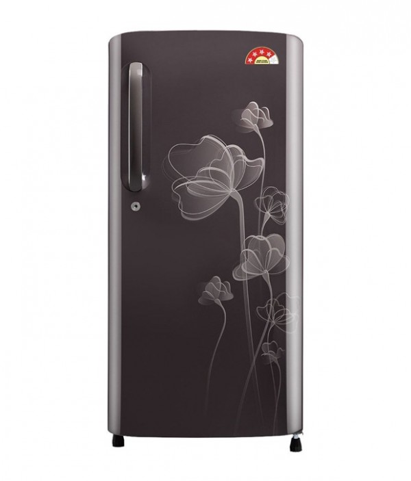 LG 190 LTR 4 Star GL-B201AGHP Direct Cool Refrigerator