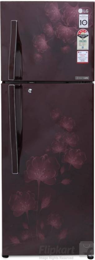 LG  GL-I302RSFL 284 L Frost Free Double Door Refrigerator 
