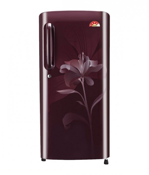 LG 215 LTR 4 Star GL-B221ASLS Direct Cool Refrigerator
