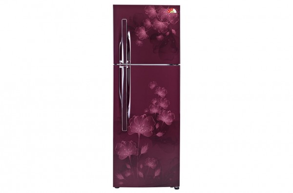 LG GL F282RSFM 255L Double Door Refrigerator