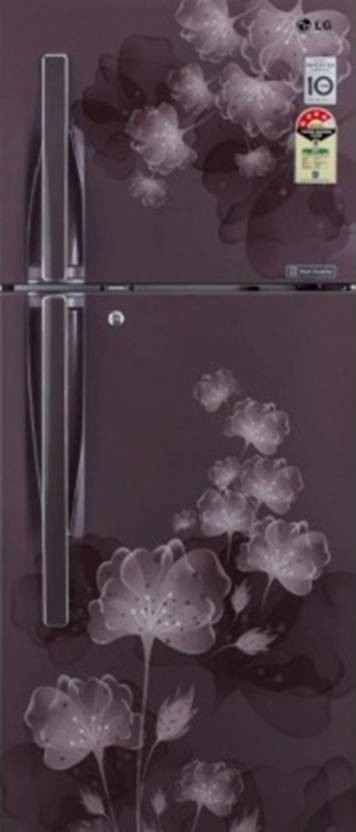 LG  GL-F282RGFL 255 L Frost Free Double Door Refrigerator 