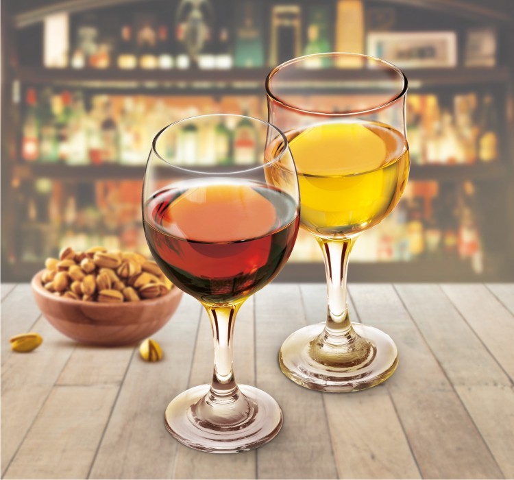 Treo Odyssey Wine Glass 280 ML Set of 6
