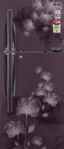 LG  GL-F282RGFL 255 L Frost Free Double Door Refrigerator 