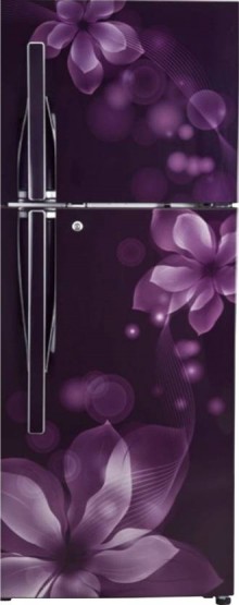 LG  GL-F282RPOL 255 L Frost Free Double Door Refrigerator