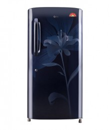 LG 190 LTR 5 Star GL-B201AMLN Direct Cool Refrigerator 