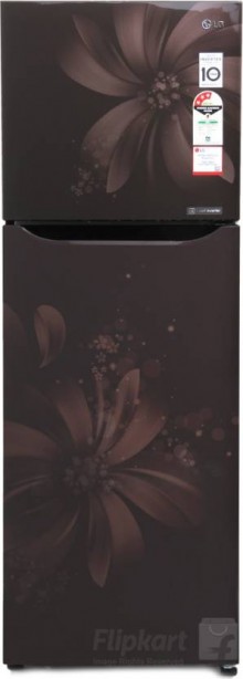 LG GL-Q282SHAM 255 L Frost Free Double Door Refrigerator  