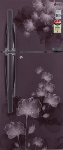 LG   GL-I302RGFL 284 L Frost Free Double Door Refrigerator