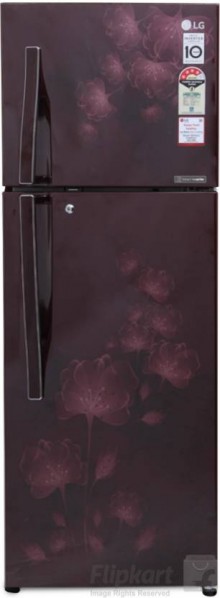 LG  GL-I302RSFL 284 L Frost Free Double Door Refrigerator 