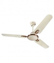 Bajaj Esteem 1200mm Ceiling Fan (Bianco Rust) 