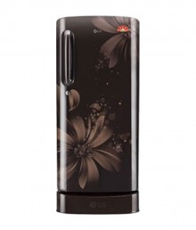 LG 190 Ltrs GL-D201AHAZ Direct Cool Single Door Refrigerator