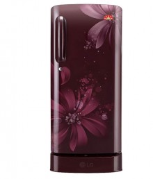 LG 190 LTR 5 Star GL-D201ASAZ Direct Cool Refrigerator