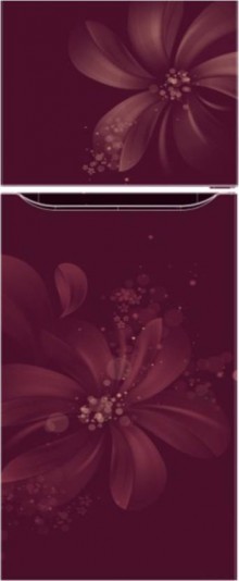 LG GL-Q282SSAM 255 L Frost Free Double Door Refrigerator  
