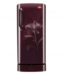 LG 190 LTR 5 Star GL-D201ASLN Direct Cool Refrigerator 