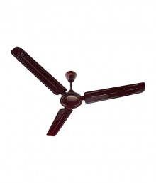 Bajaj 1200 mm Edge Ceiling Fan - Brown