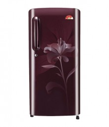 LG 215 LTR 4 Star GL-B221ASLS Direct Cool Refrigerator
