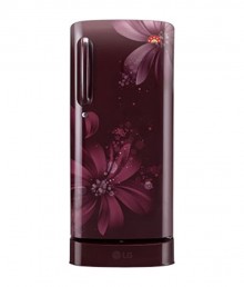 LG 235 Ltrs GL-D241ASAN Direct Cool Single Door Refrigerator 