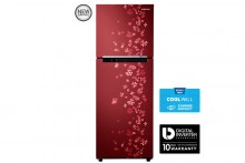 Samsung RT28K3082RY NL Double Door 253 Litres Frost Free Refrigerator
