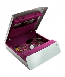Godrej Goldilocks Personal Locker