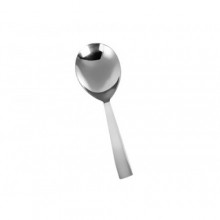 Montavo Trendz Table Spoon, Set of 2